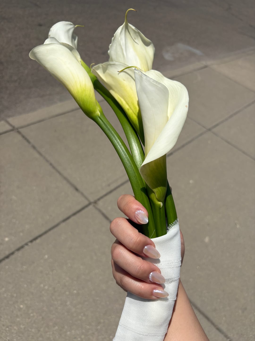 Customer photo review of White Calla Lilies