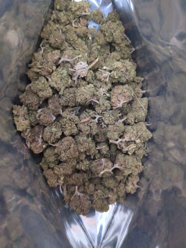 Customer photo review of Bulk THCA Flower Pounds