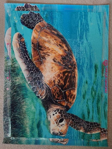 Customer photo review of 5D Diamond Painting – Alte Schildkröte
