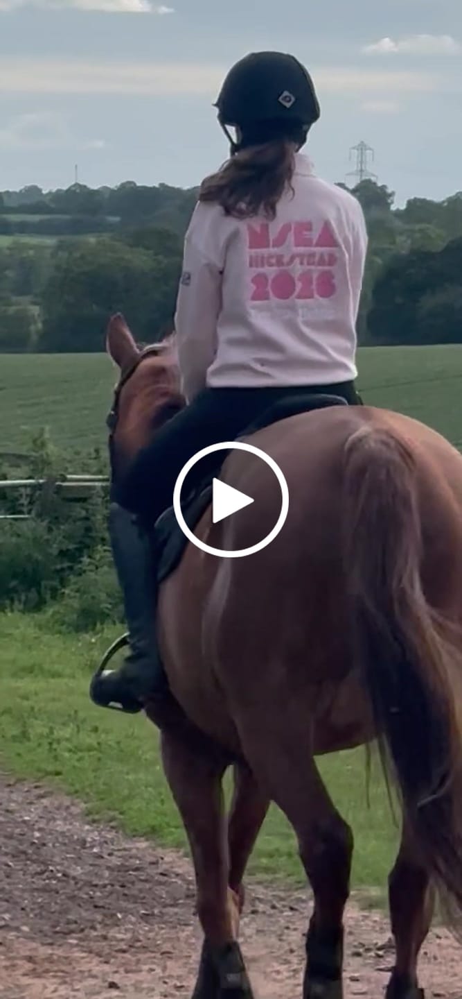 Customer video review of NSEA Hickstead Champs 2026 Half Zip Sweatshirt Baby Pink/Pink logo