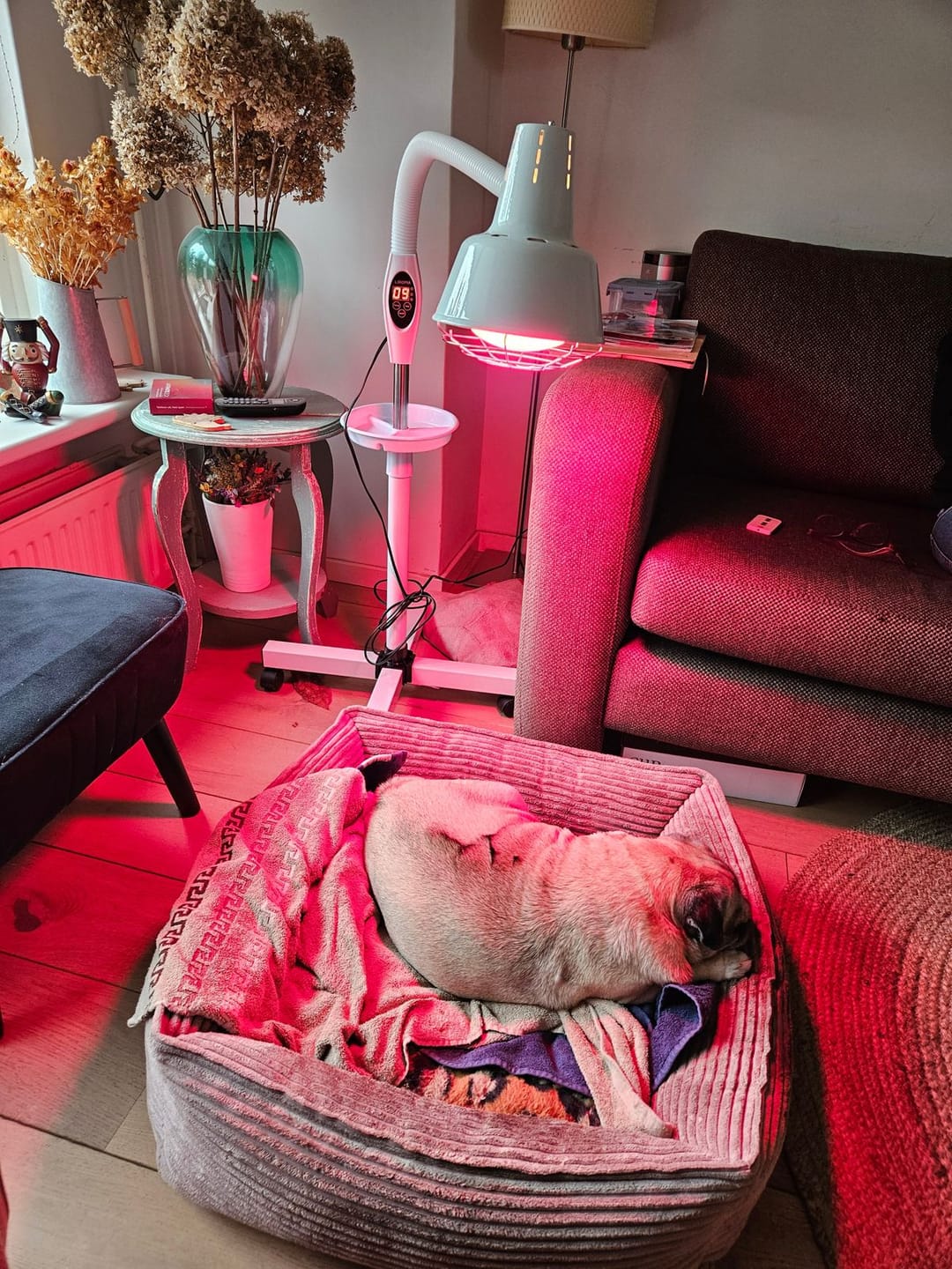 Customer photo review of LIROMA® Infraroodlamp Dubbele kop – 507 – Ideaal voor thuis