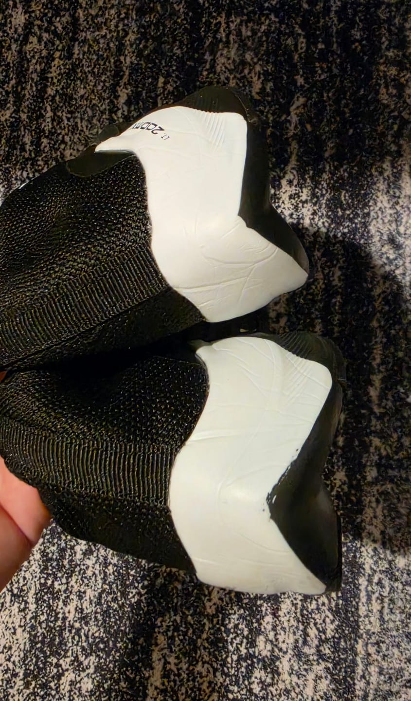 Customer photo review of GO Flux R200