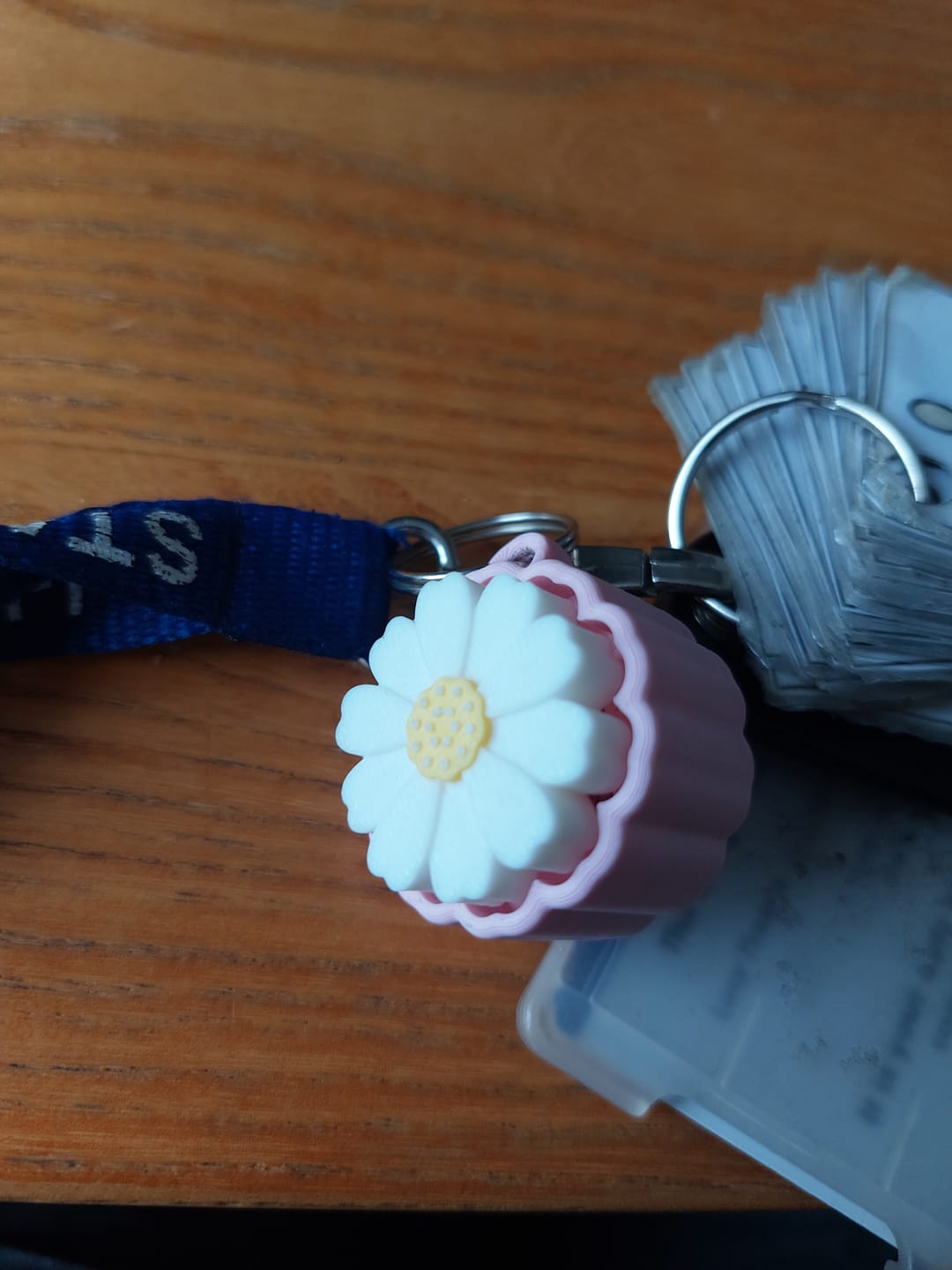 Customer photo review of DaisyClick