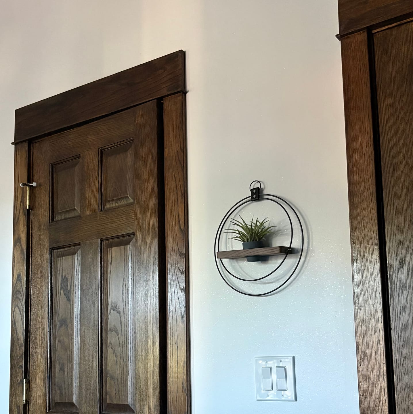 Customer photo review of Air Plant Shelf + Pot
