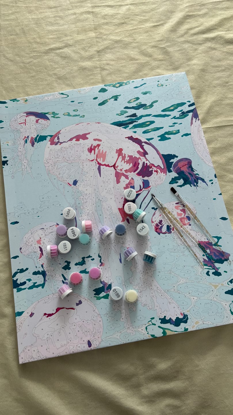Customer photo review of Pink Jelly Fishes | Paint by Number
