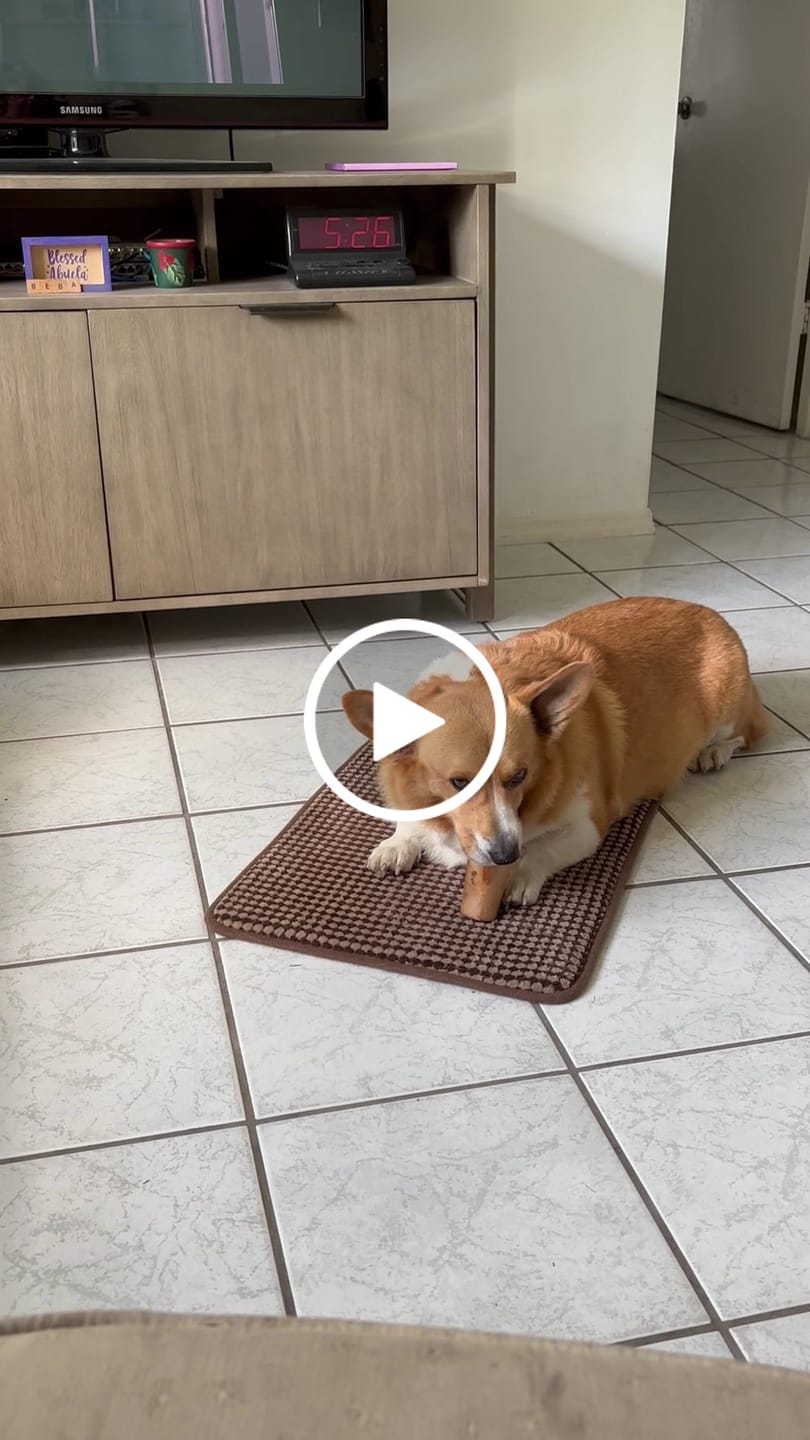 Customer video review of Smoked Beef Marrow Bone