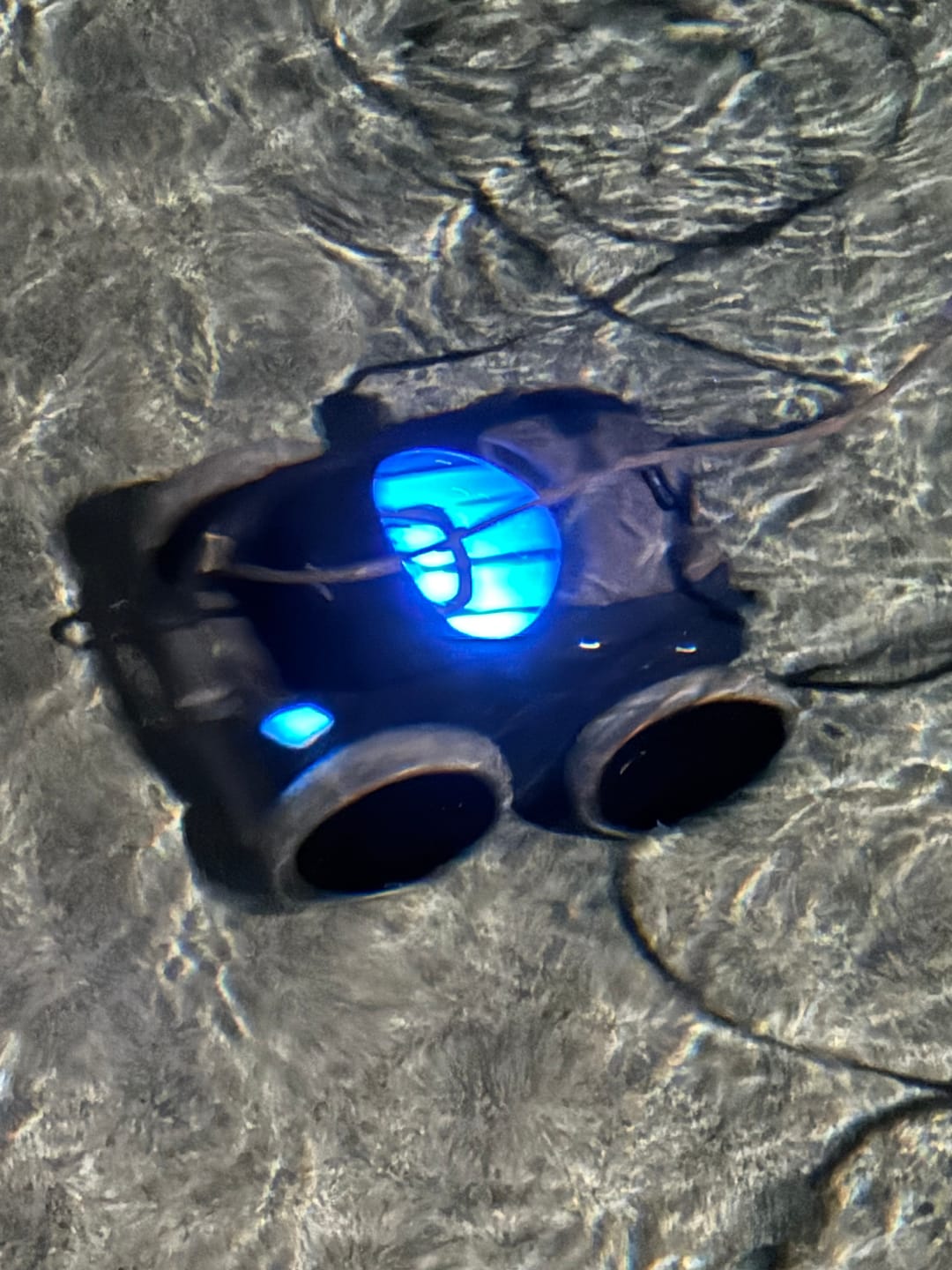 Customer photo review of Polaris ALPHA iQ Plus Smart Robotic Pool Cleaner