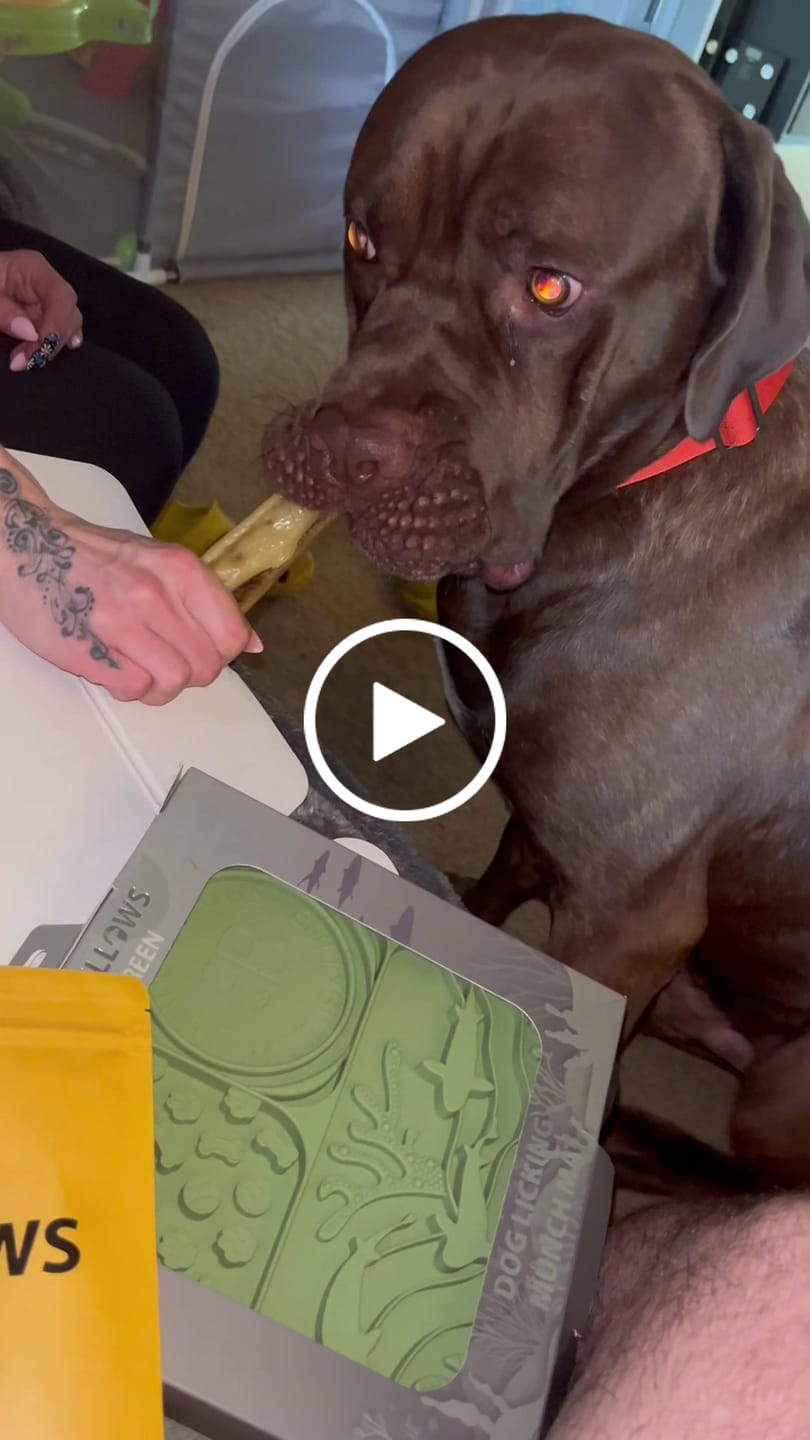 Customer video review of Personalisation Fee £7.99