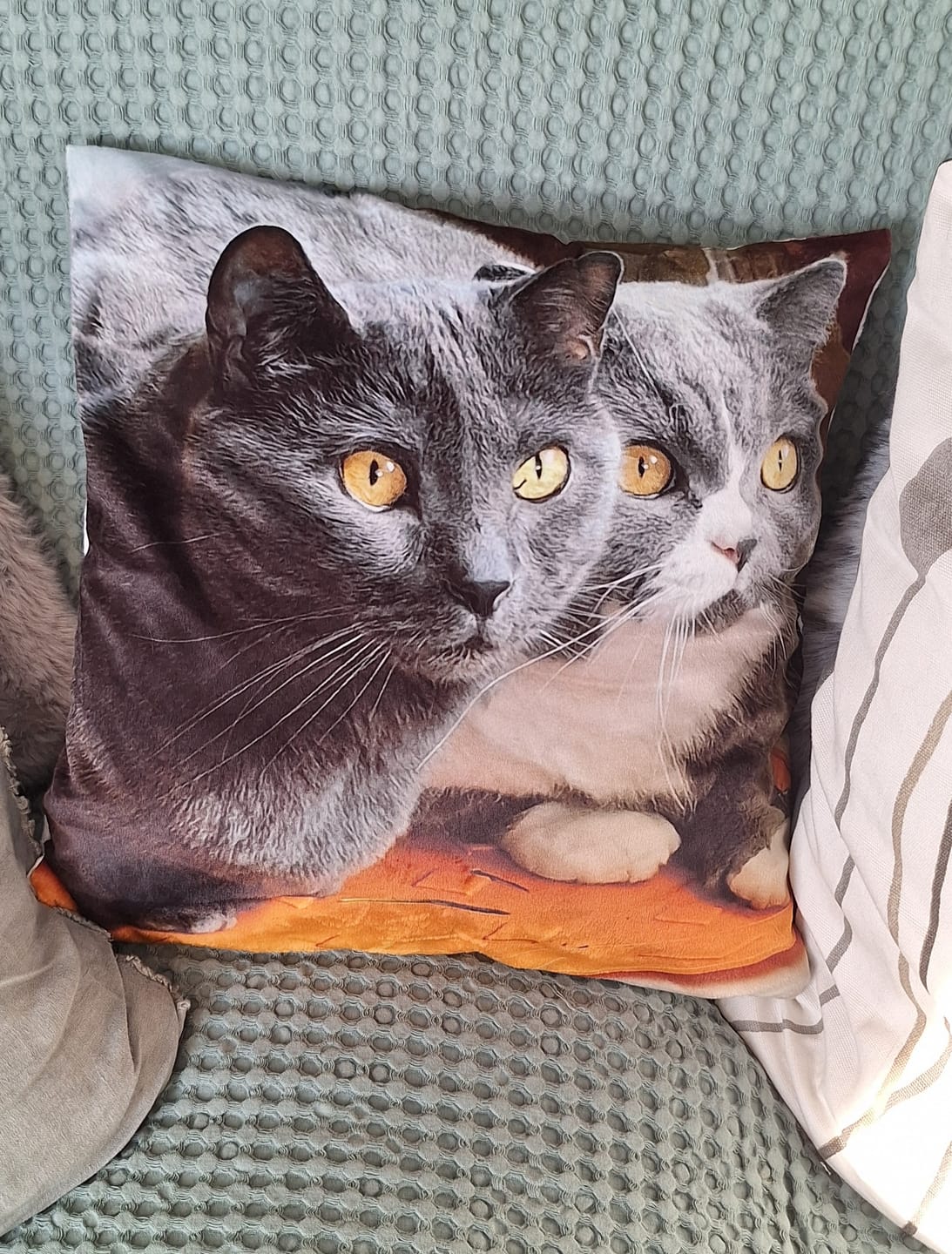 Customer photo review of Avec photo - Coussin personnalisé
