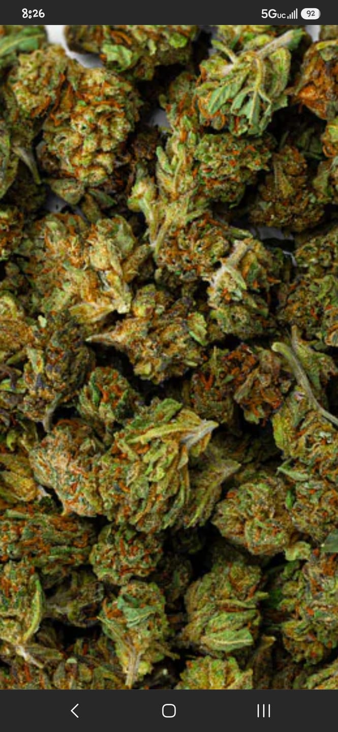 Customer photo review of King Louis XIII - 4 Grams - Indica