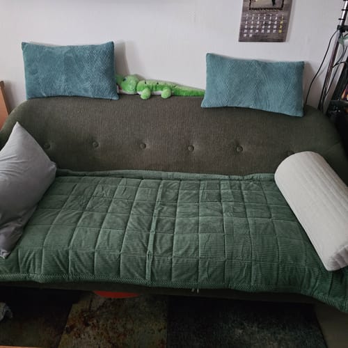 Customer photo review of Sofa Guard - Soft in Aktion