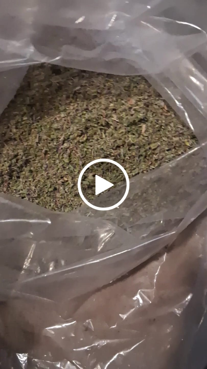 Customer video review of Damiana Leaf - 10 lbs.