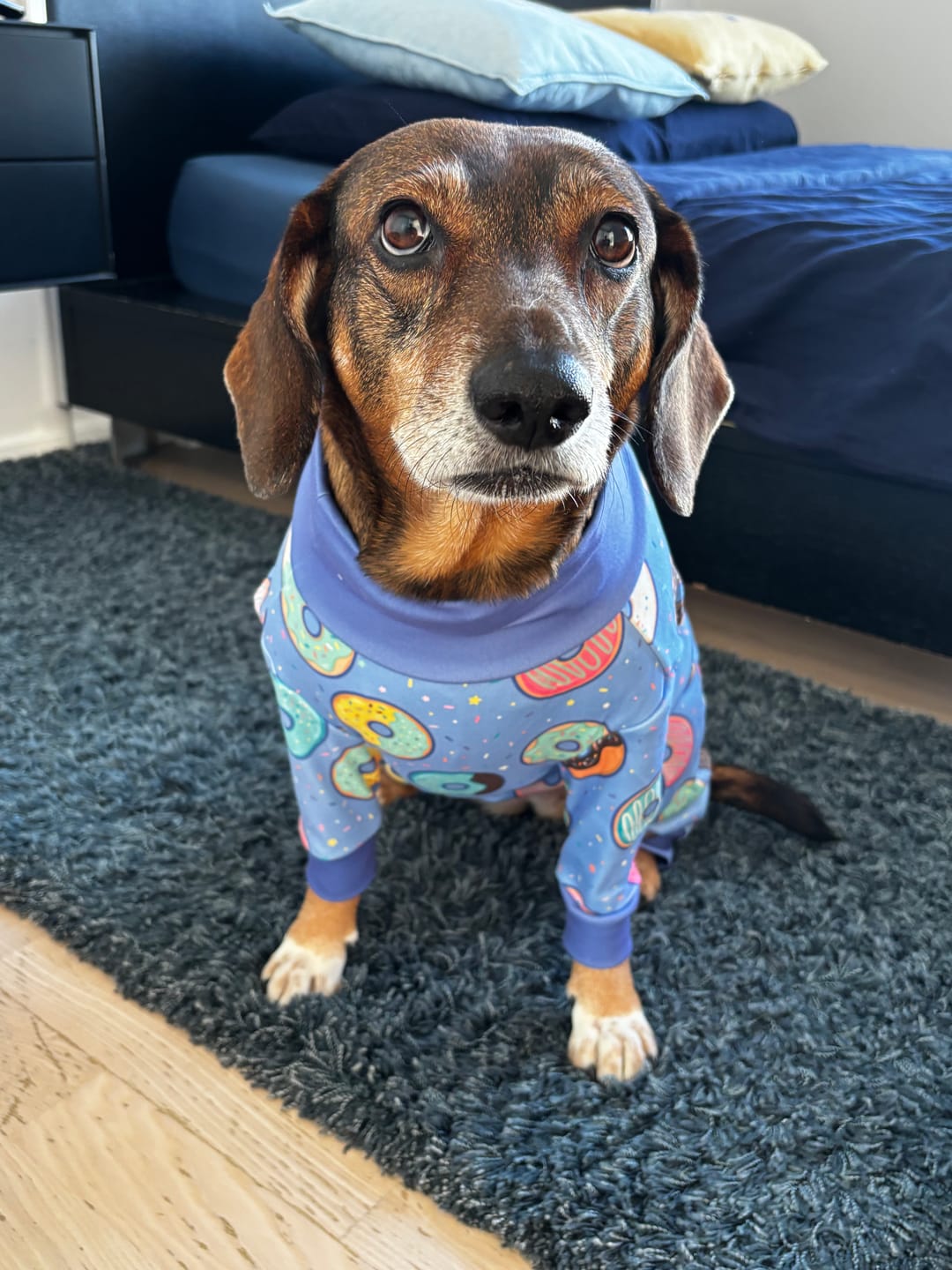 Customer photo review of Dog Pajama - Donuts