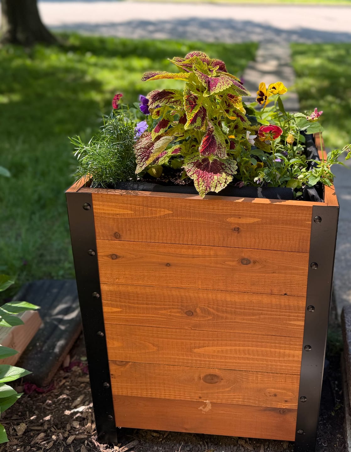 Customer photo review of 18" x 18" Planter Box - 24" TALL / Select Grade