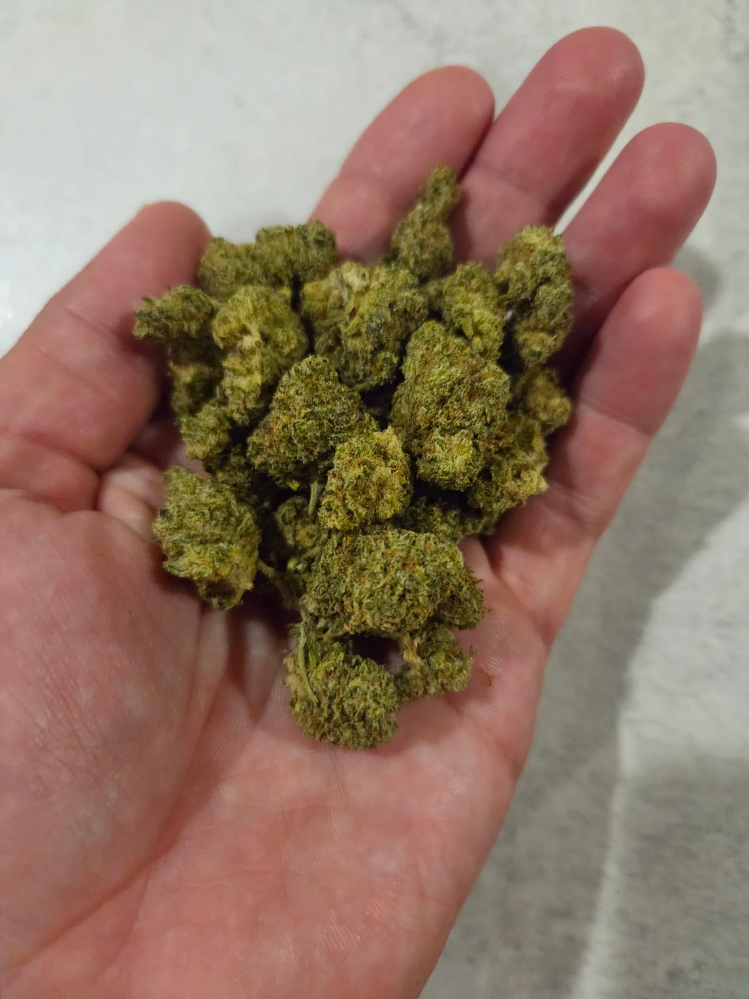 Customer photo review of Durban Poison THCA Flower