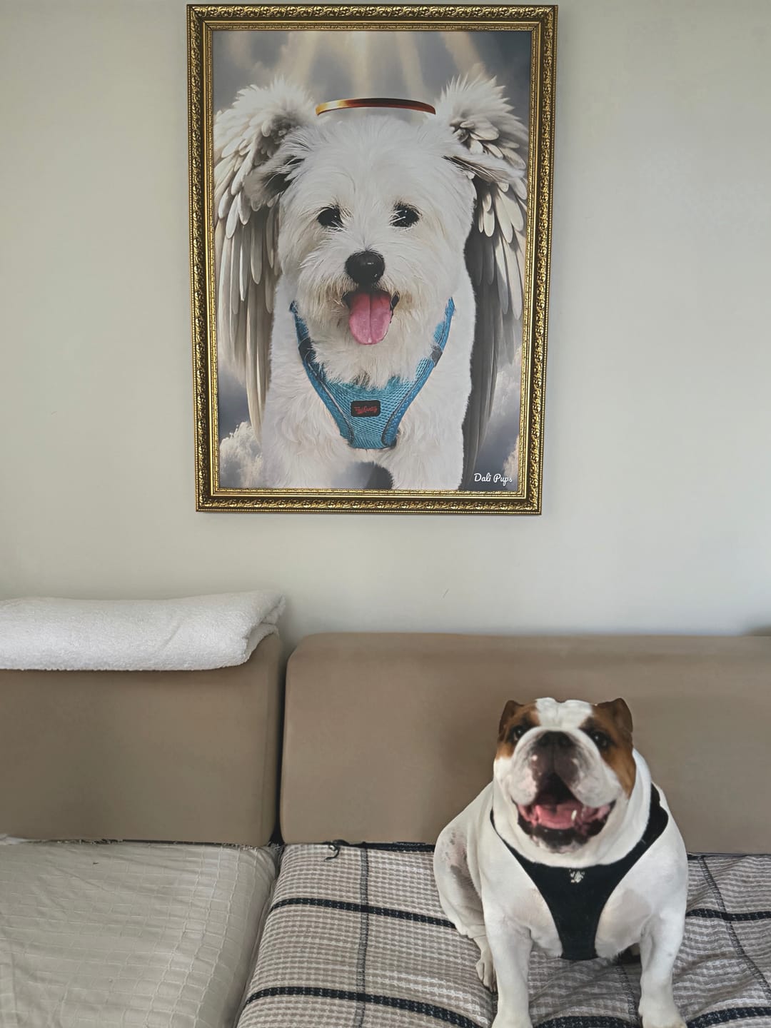 Customer photo review of The Angel of Heaven