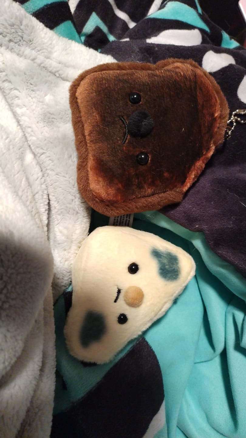 Customer photo review of Forgotten Moldy Parmesan Cheese