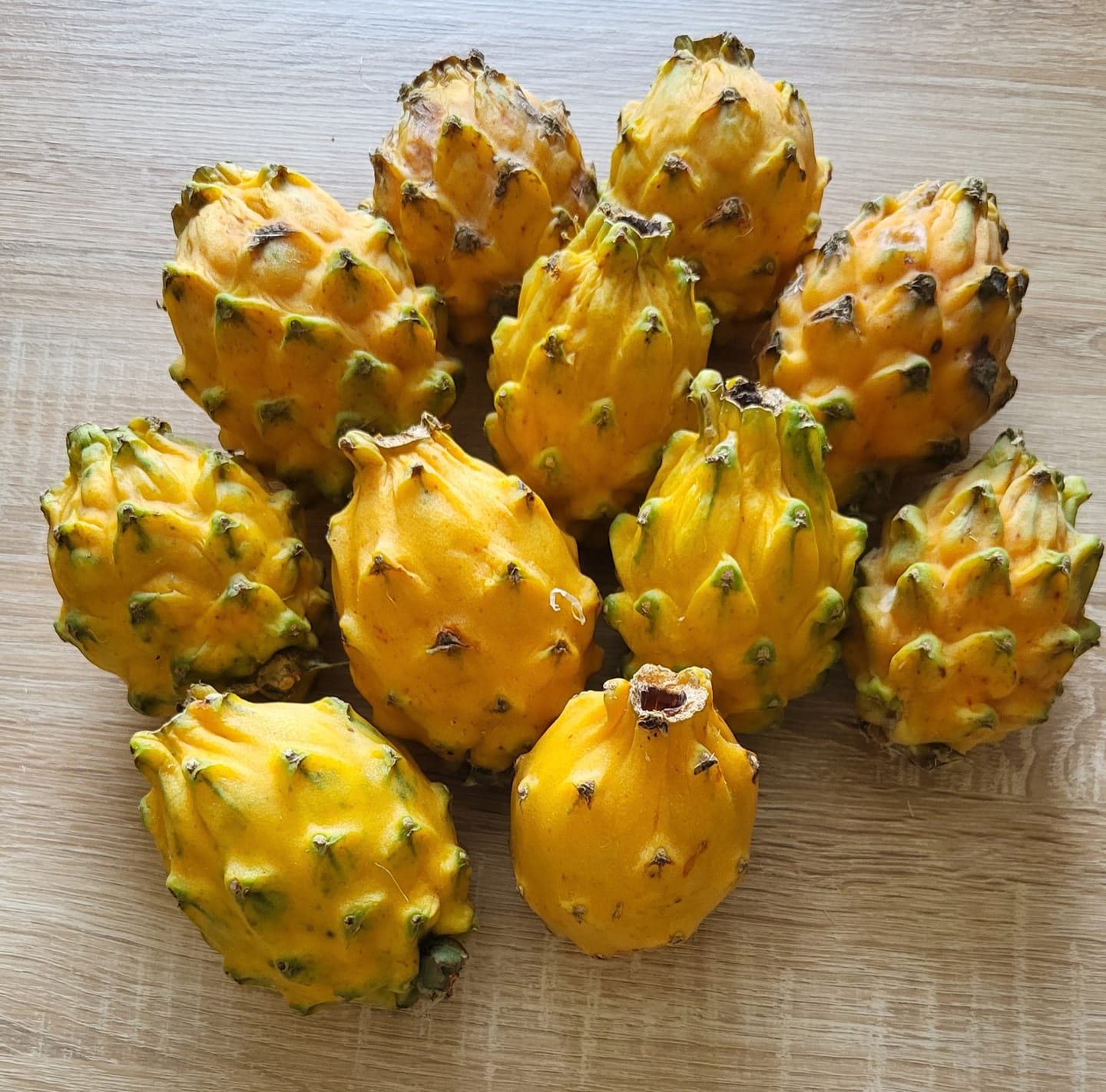 Customer photo review of Goldene Drachenfrucht Sonderaktion % 2kg