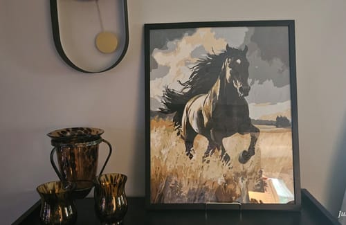Customer photo review of Dark Horse, Wild Run