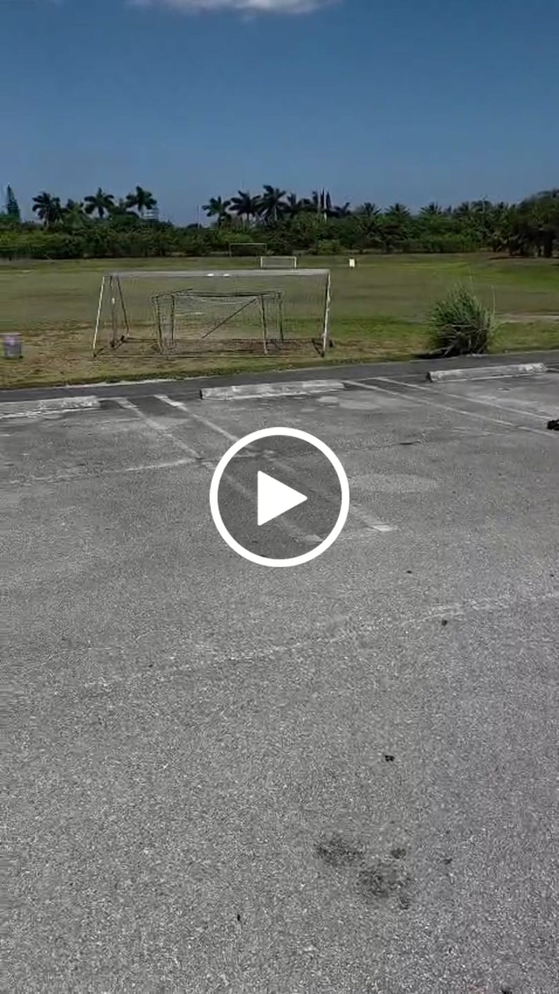 Customer video review of Front Oil-filled Shock Absorber Set For SBK10 RC Buggy