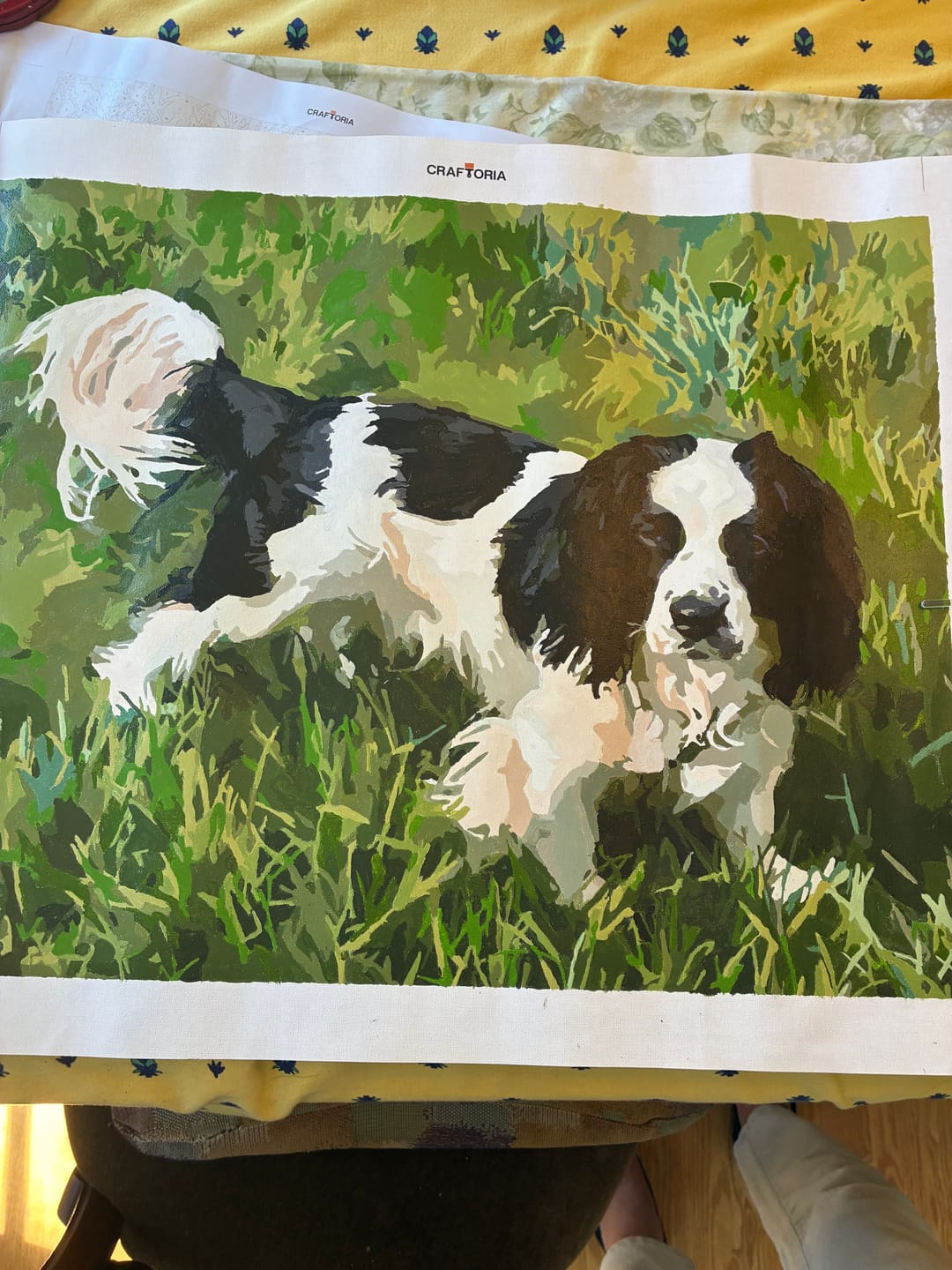 Customer photo review of Custom Paint By Numbers Kit