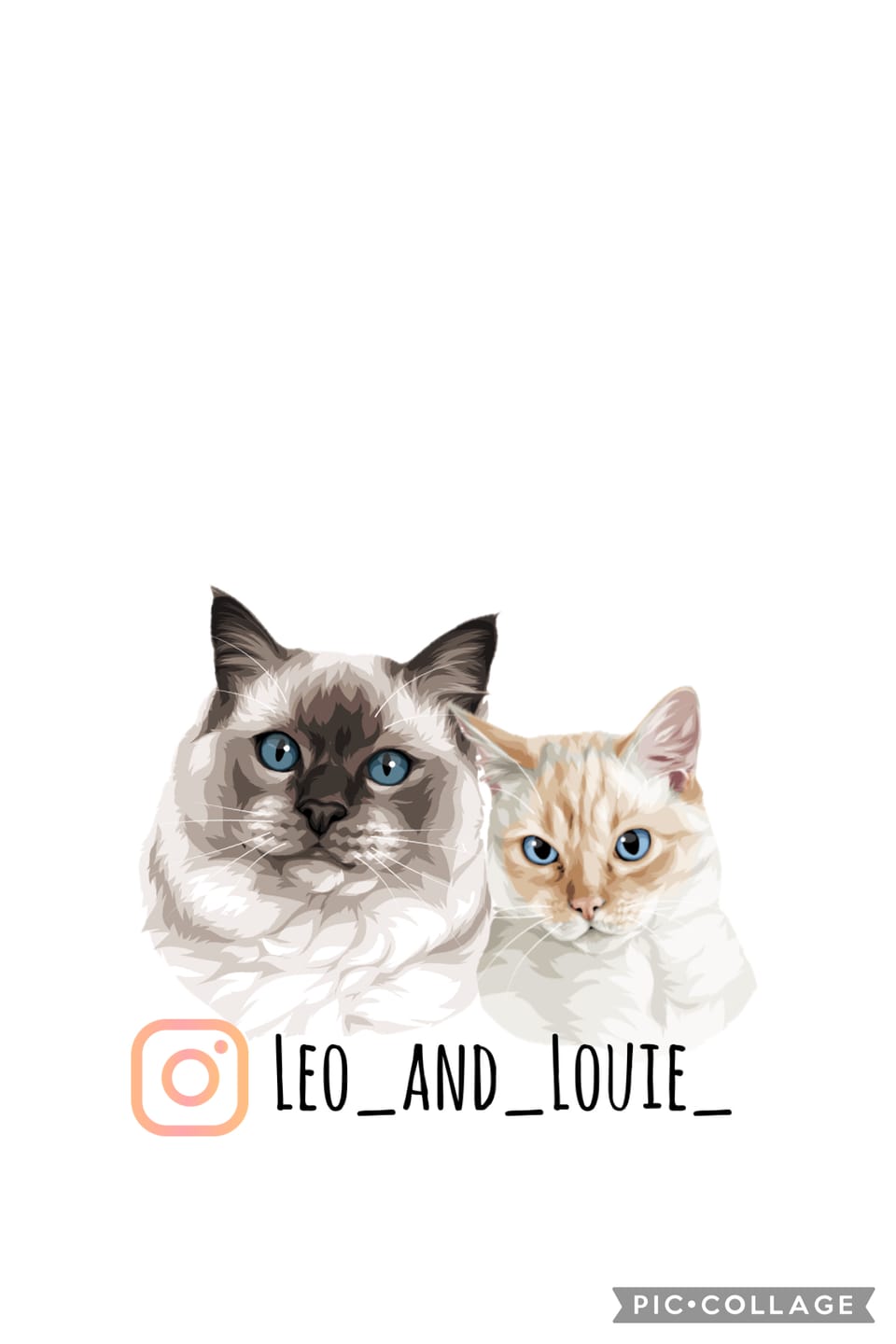 Customer photo review of Pet Portrait