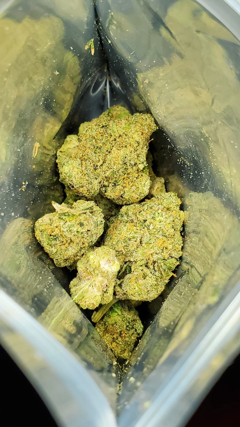 Customer photo review of Biscotti THCA Flower (Budget)