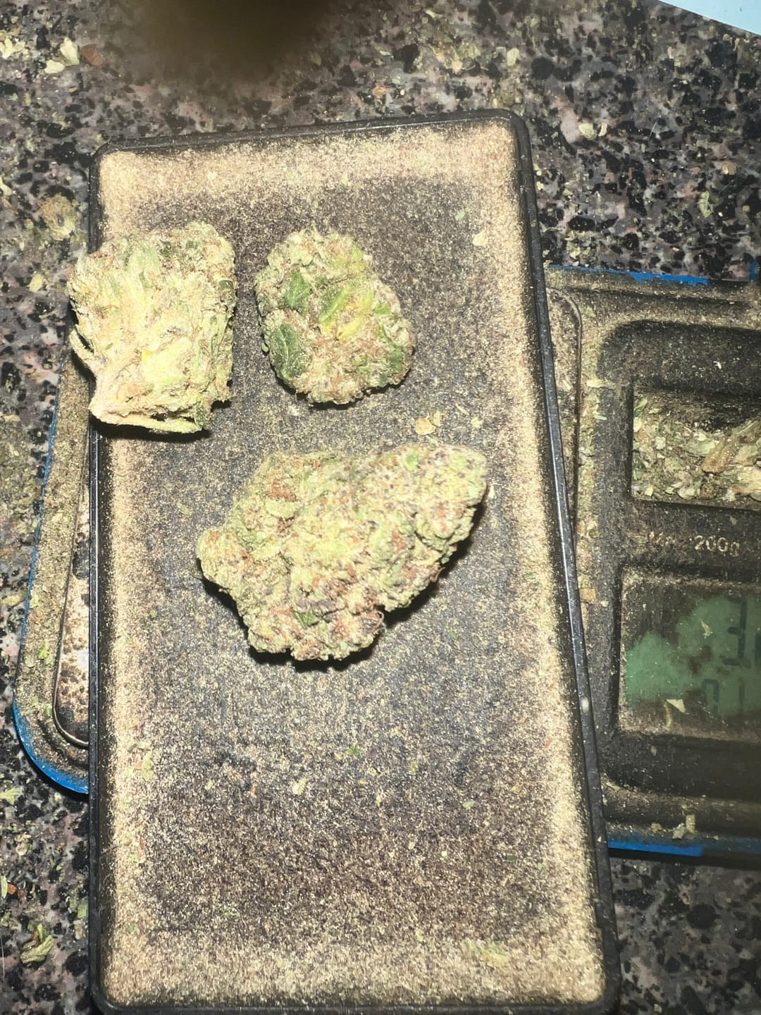 Customer photo review of 10 oz Biscotti THCA Flower (Budget)