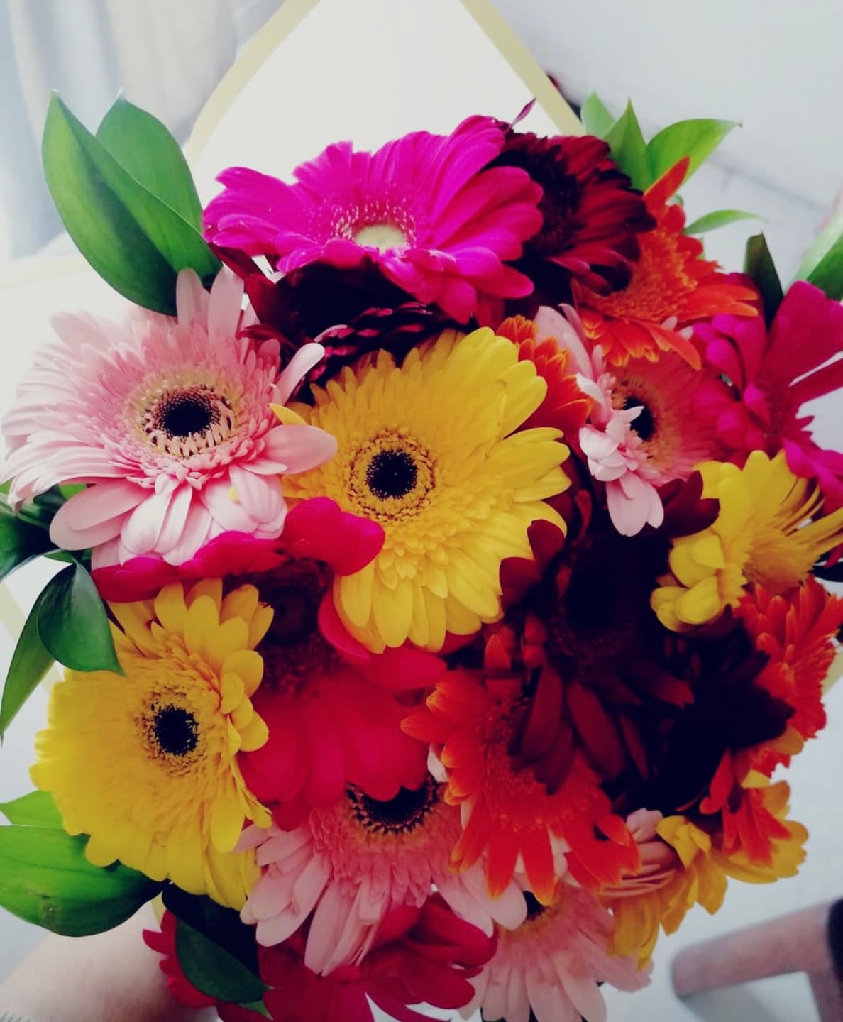 Customer photo review of Tropical Bliss Gerbera Bouquet
