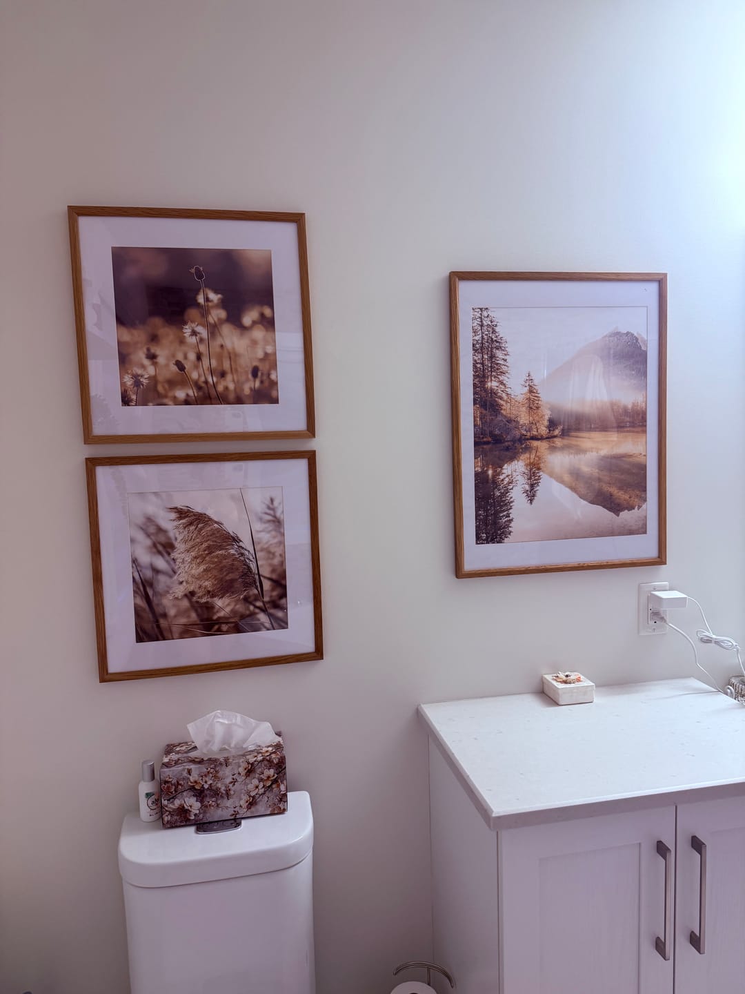 Customer photo review of Pampas