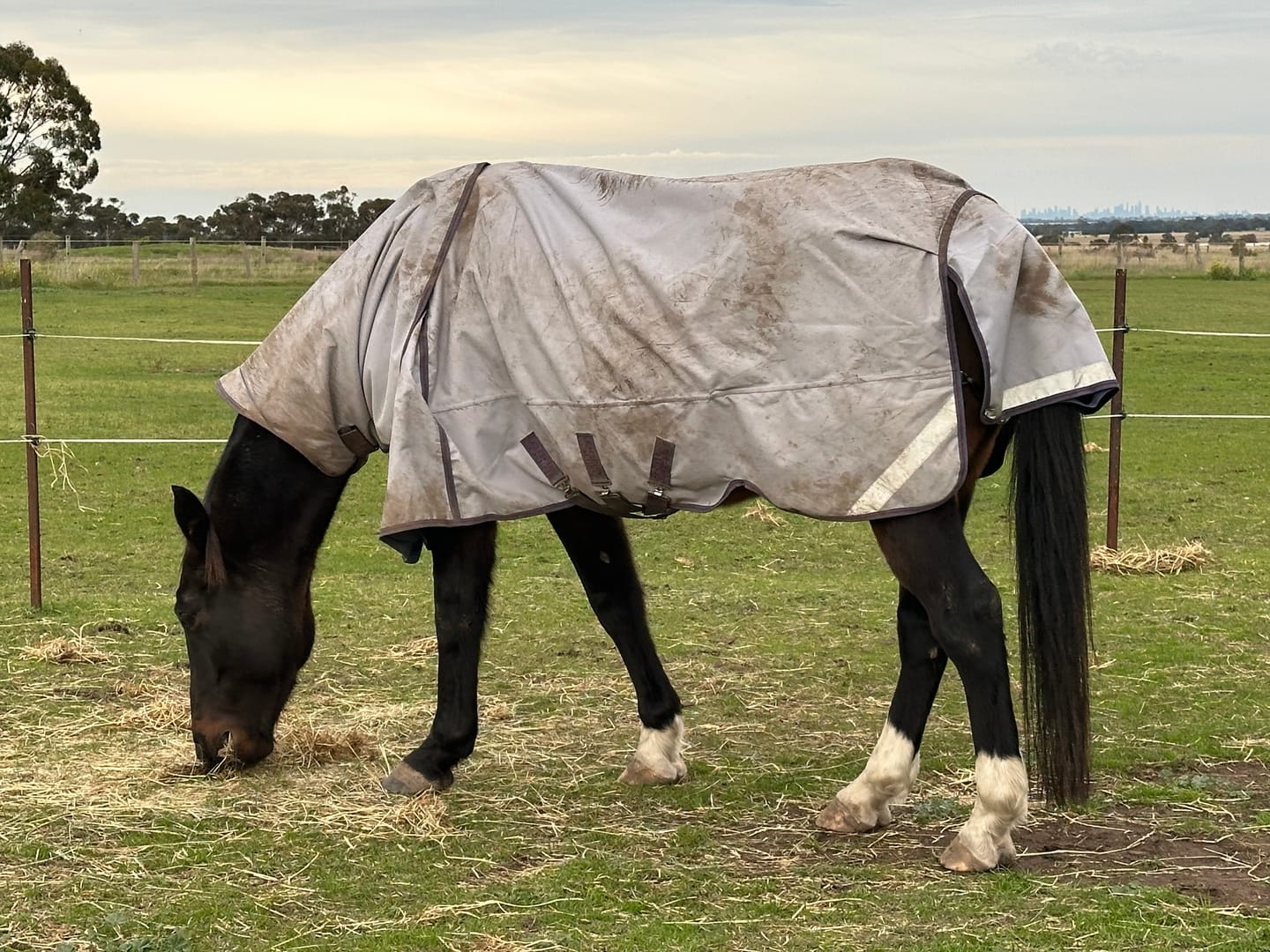 Customer photo review of LE Boxter Turnout Ripstop 50g