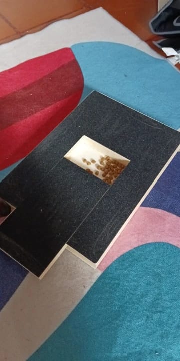 Customer photo review of Dog Nail Scratch Board with Treat Box – Stress Free Nail Filing for Dogs