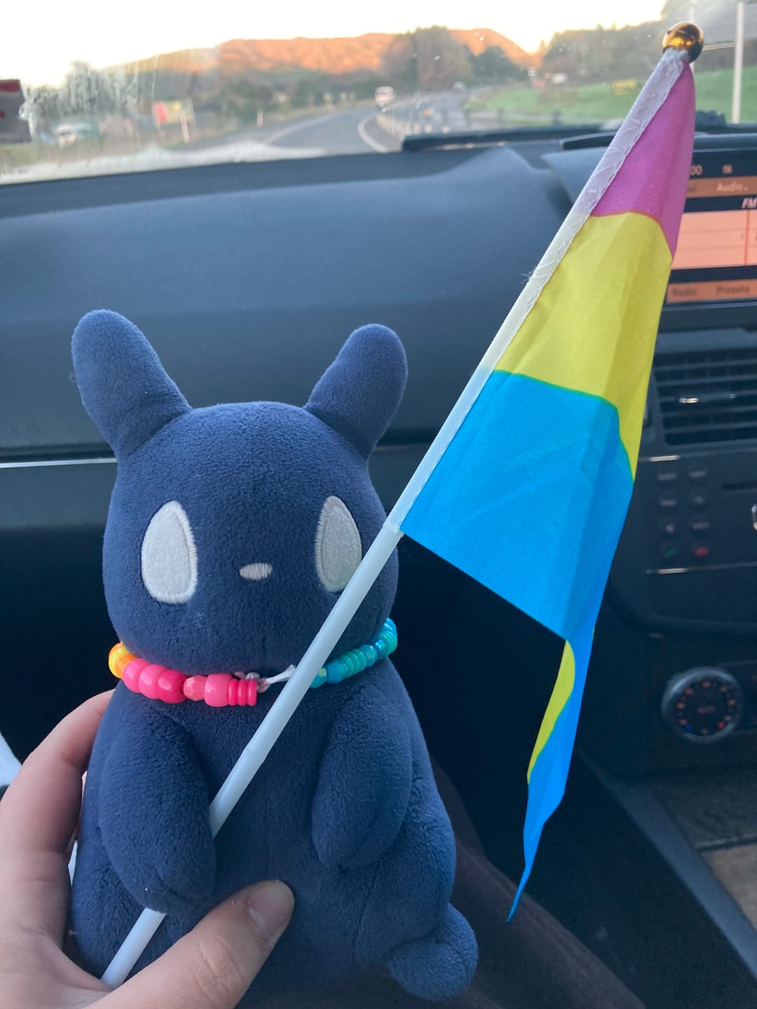 Customer photo review of Rain World - The Watcher Slugpup Plush