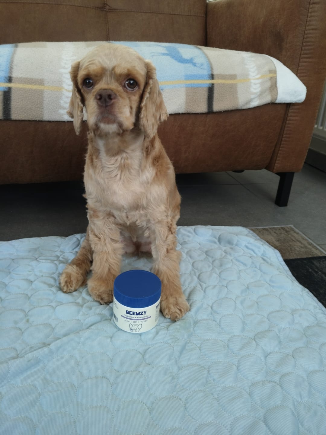 Customer photo review of Probiotica voor Honden – Spijsverterings- en Darmgezondheid