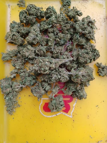 Alien OG - Minis - 28 Grams - Indica photo review