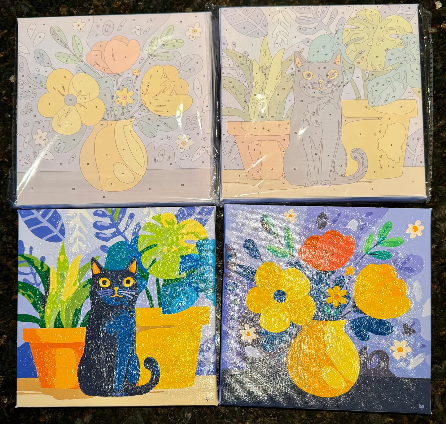 Customer photo review of Cat's Plants