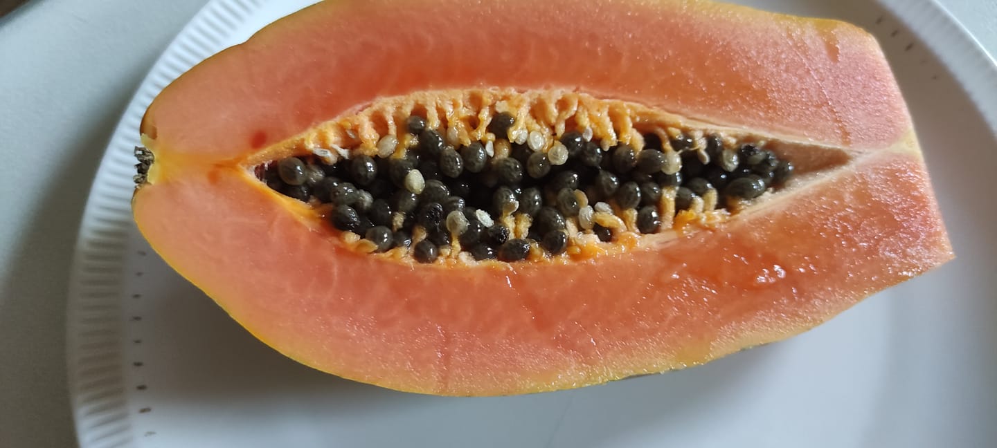 Customer photo review of Papaya Bio von Julian Wochenaktion %