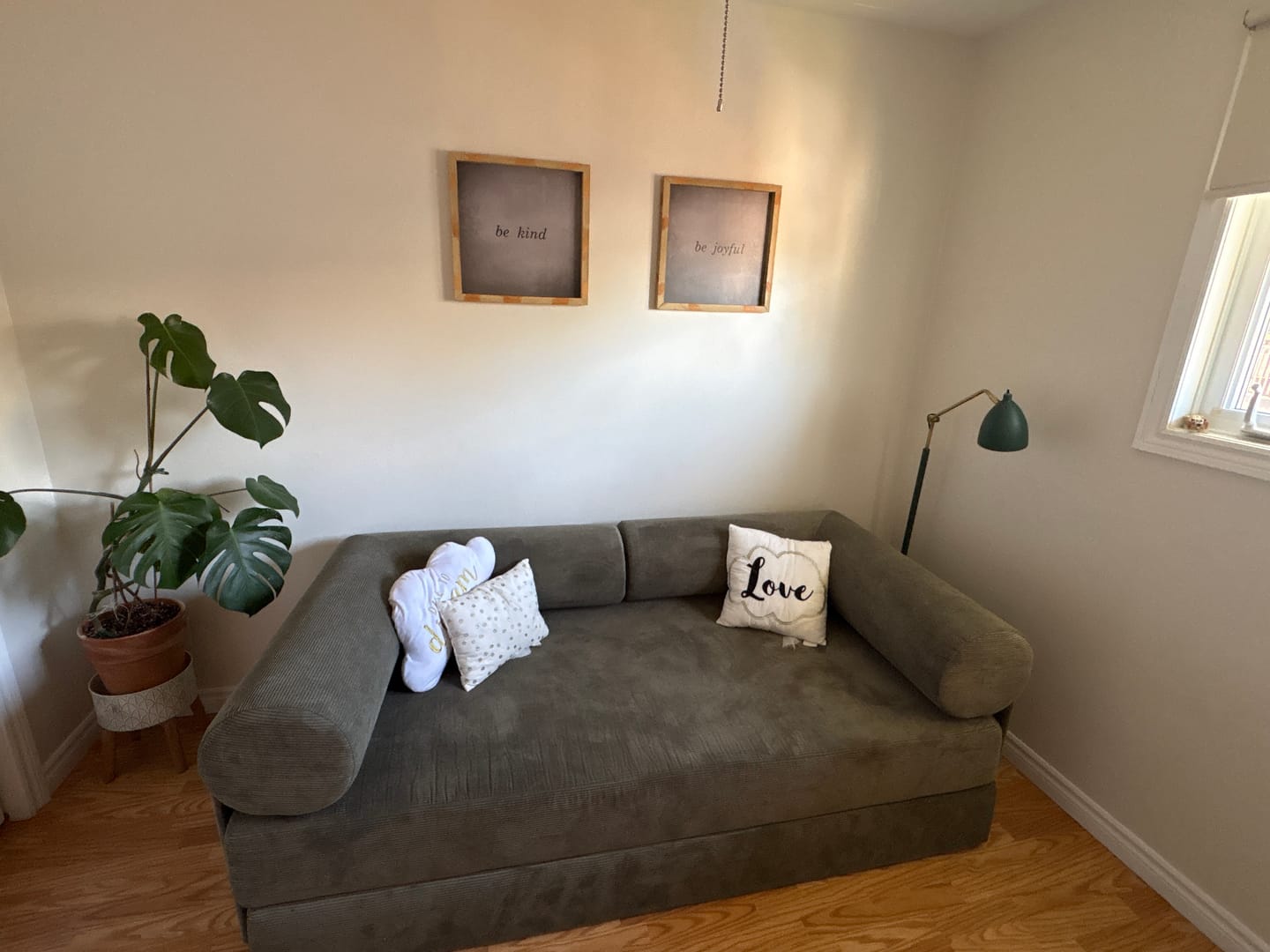 Customer photo review of S8 Sleeper Sofa Bed