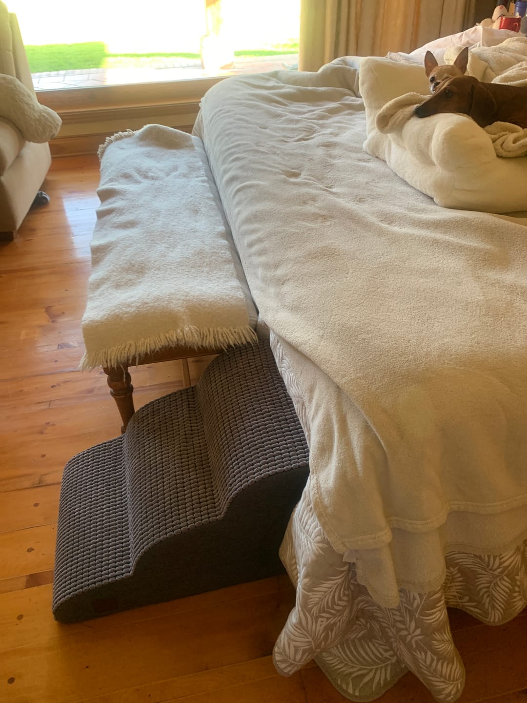 Customer photo review of Rampa Pendiente Suave THE DOGS