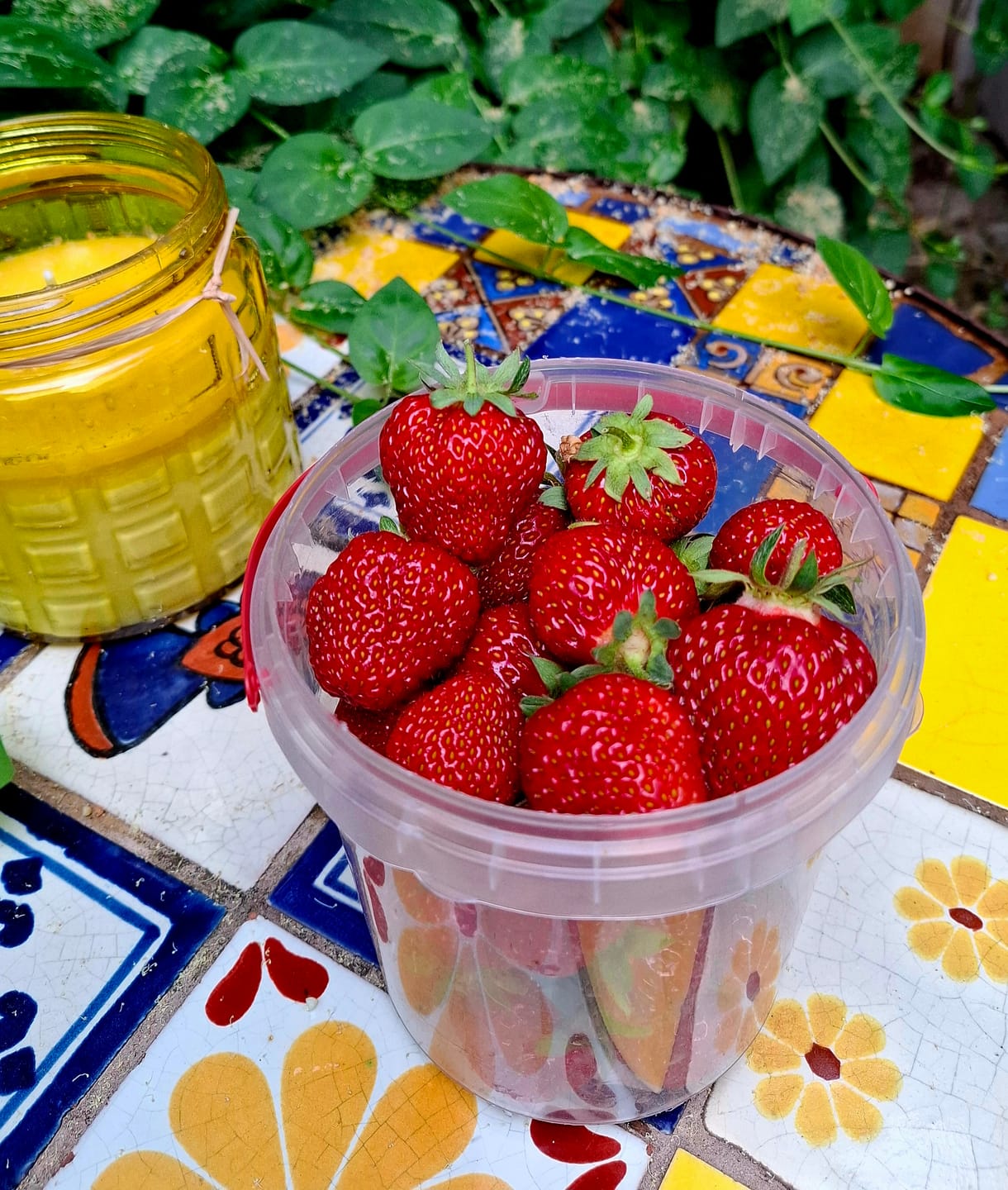 Customer photo review of Gartenvlies