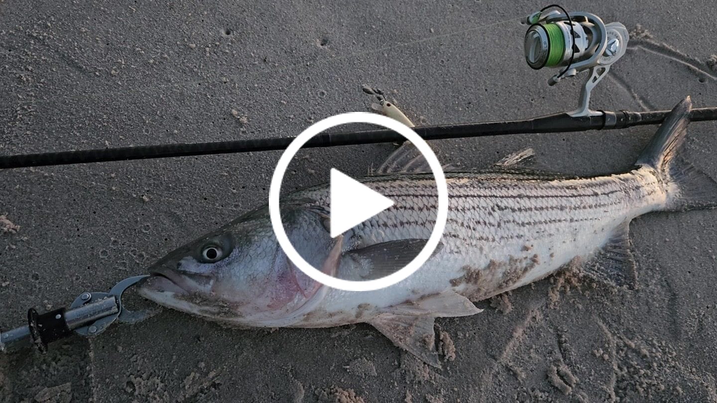 Customer video review of SaltX II Spinning Reel