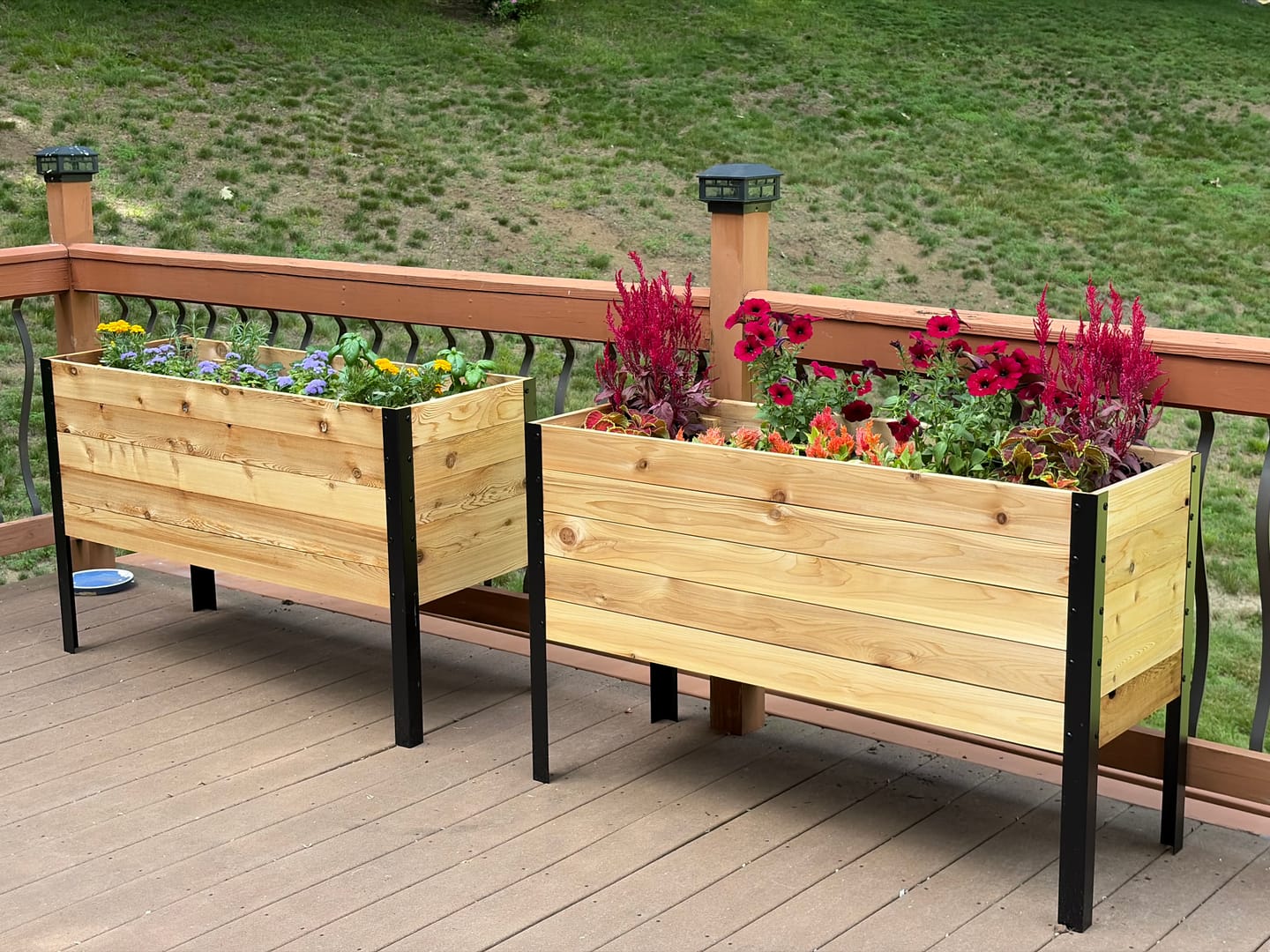 Customer photo review of 18" x 48" Raised Garden Bed - 30" TALL / Garden Grade