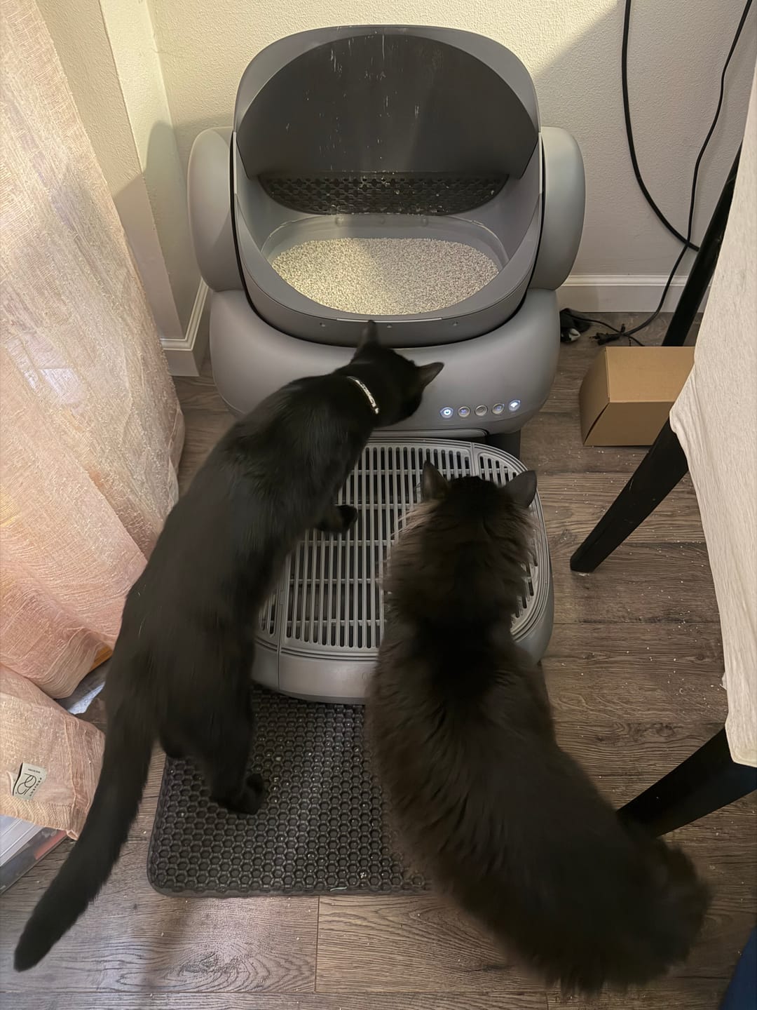 Customer photo review of Neakasa M1/M1 Lite Self-Cleaning Litter Box & Step Bundle