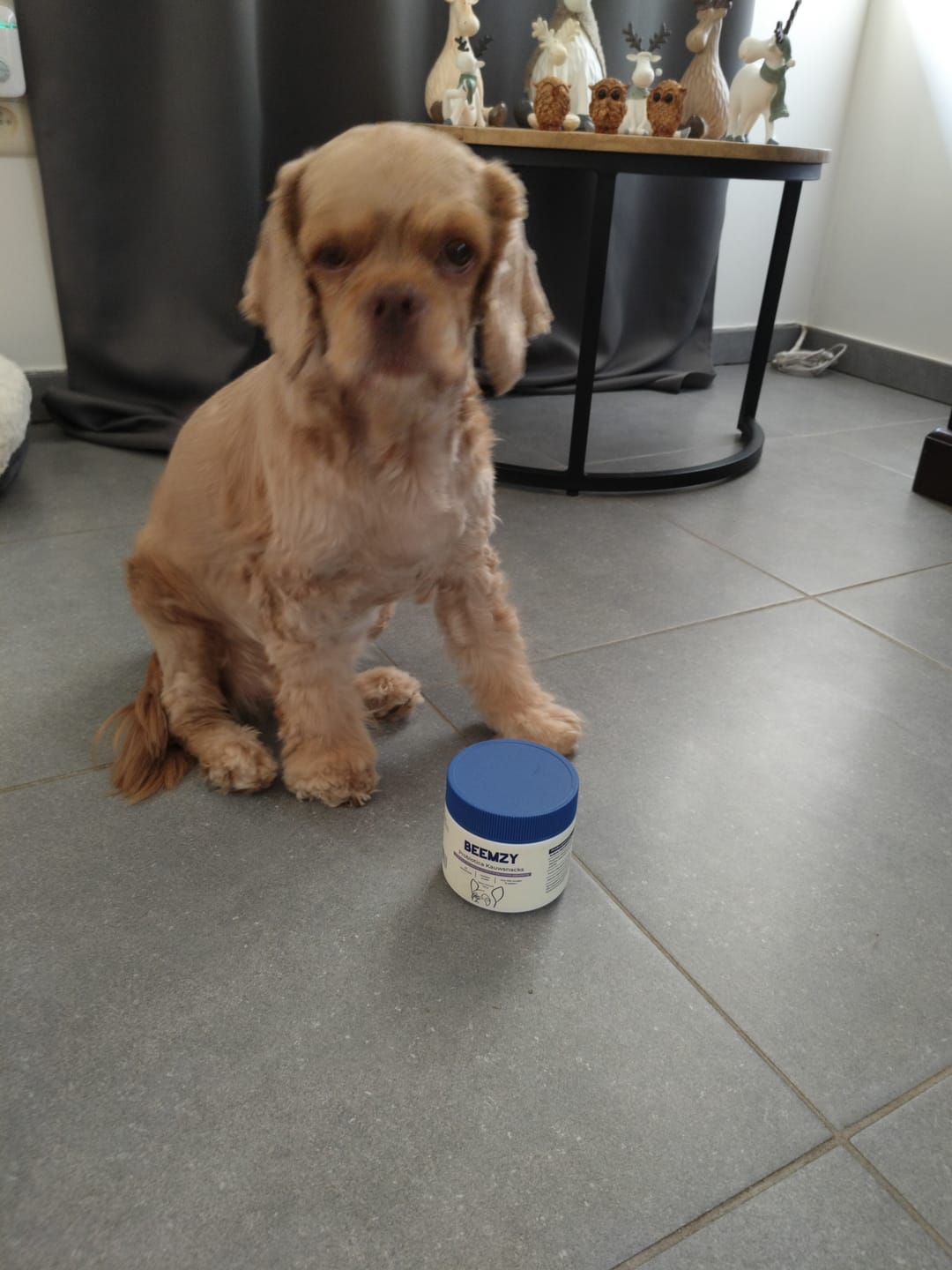 Customer photo review of Probiotica voor Honden – Spijsverterings- en Darmgezondheid