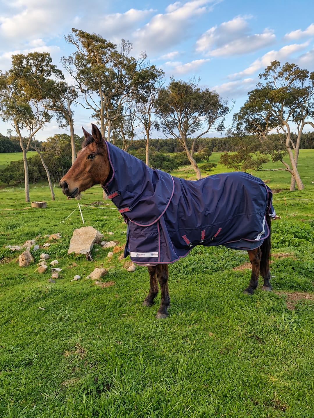 Customer photo review of LE Boxter Turnout Ripstop 0g with Fleece