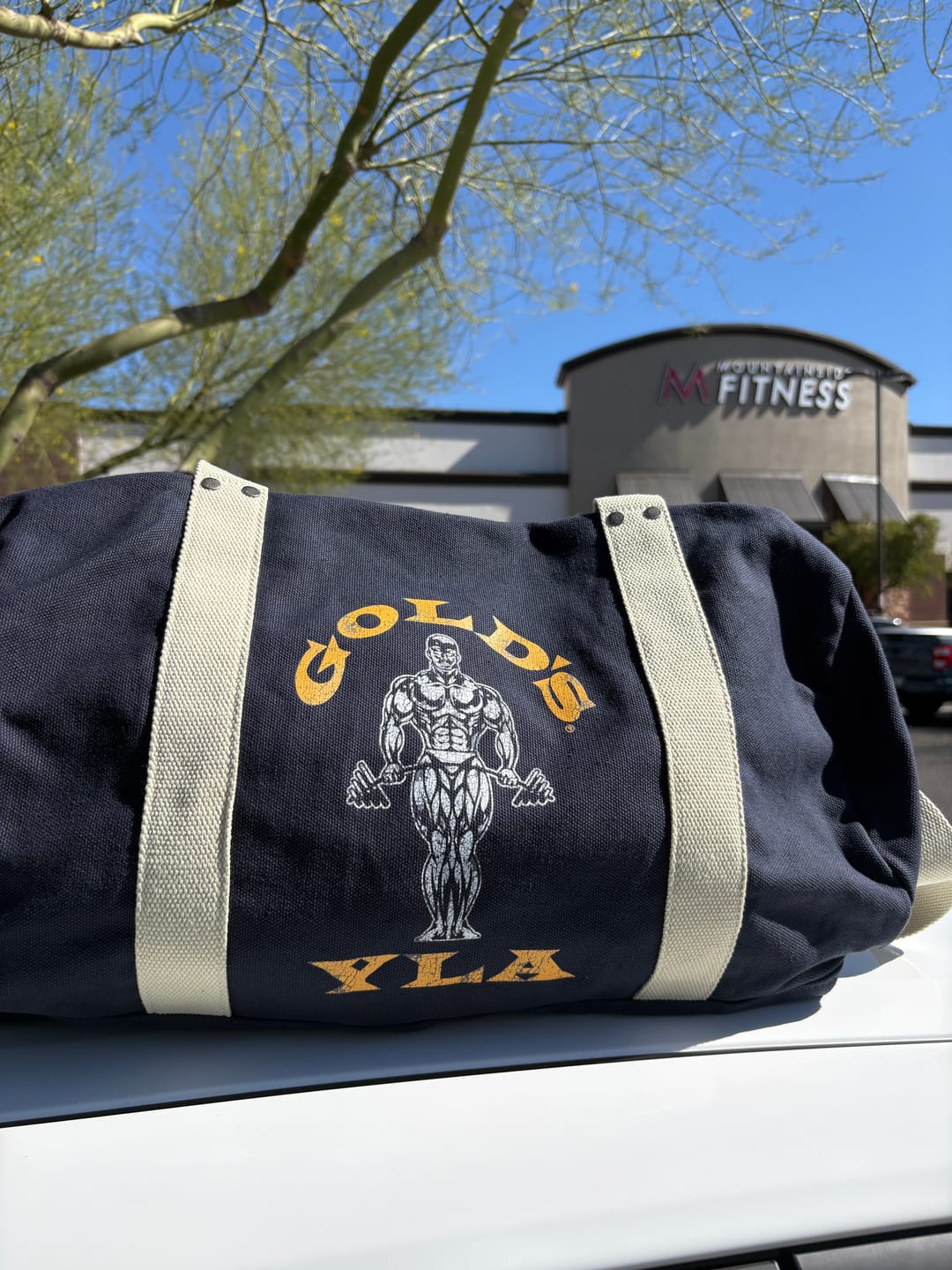 9045 - Gold's Iron Legacy Canvas Bags