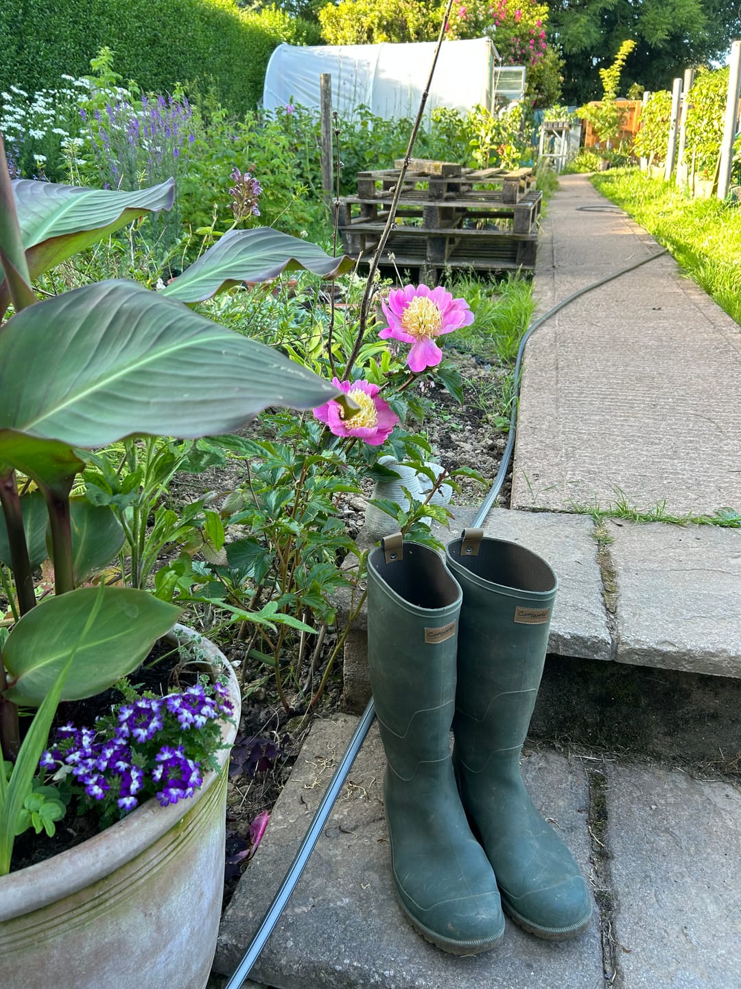 Customer photo review of Pendock Tall Wellingtons Green