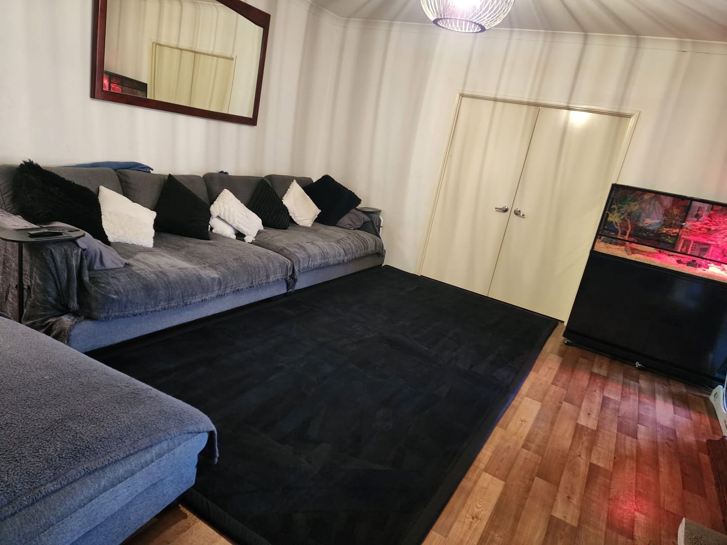 Customer photo review of CouchCare™️ Couch Protector