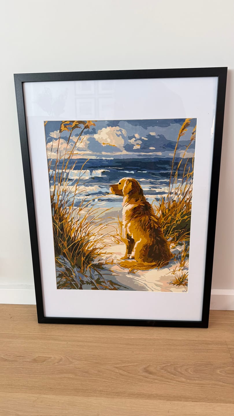 Customer photo review of Waiting Labrador | Paint by Number