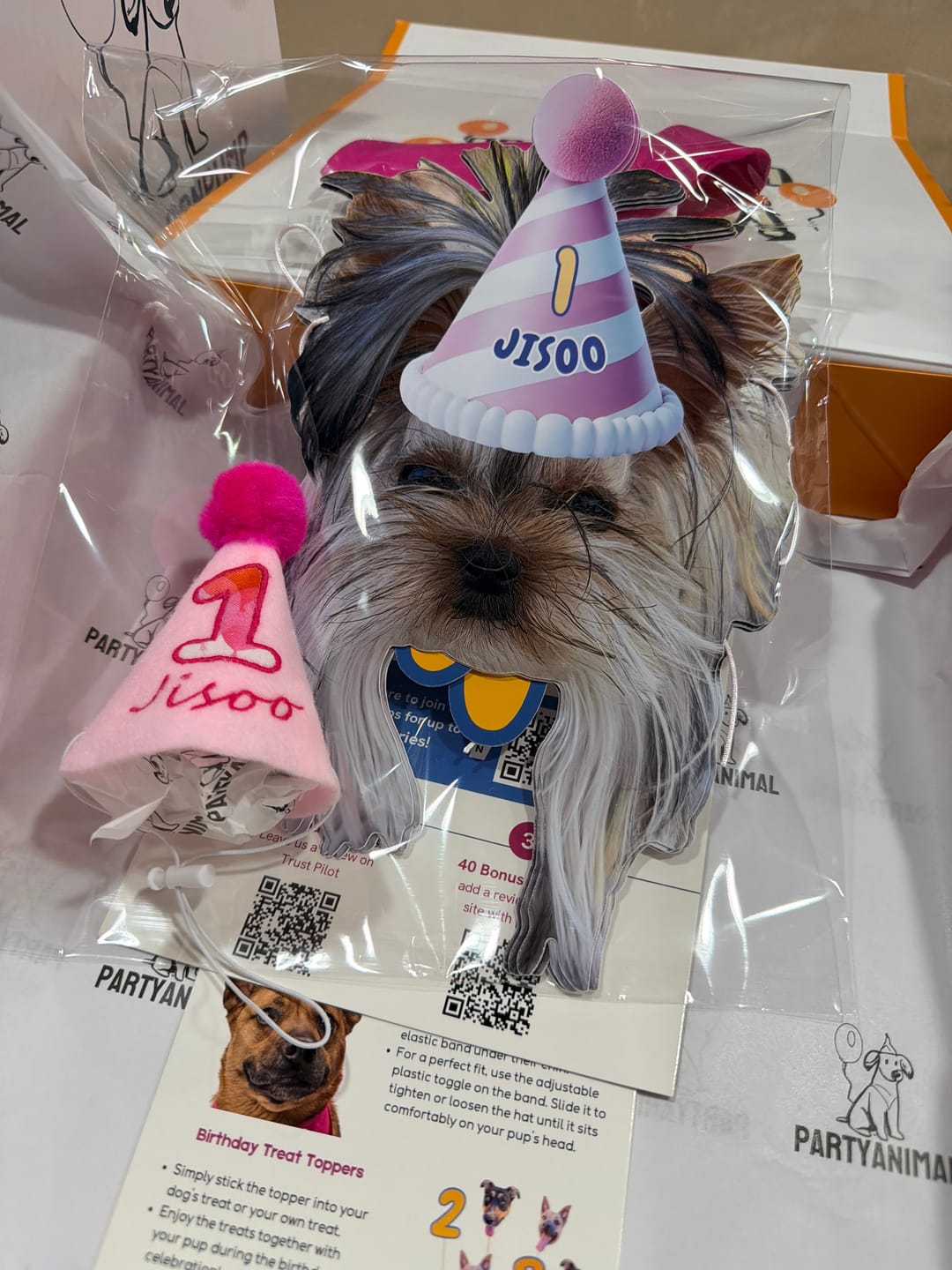 Customer photo review of Standard Personalized Dog Party Pack
